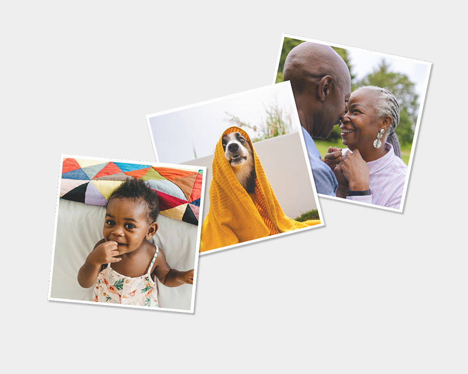 Tre calamite con foto del cane e della famiglia