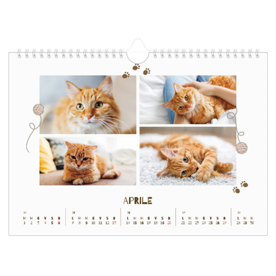 Calendario fotografico A4 — Gattino giocherellone [Aprile]
