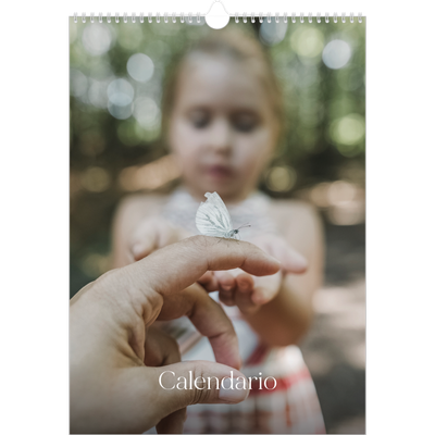 Calendario A3 verticale — Dodici grandi mesi [copertina]