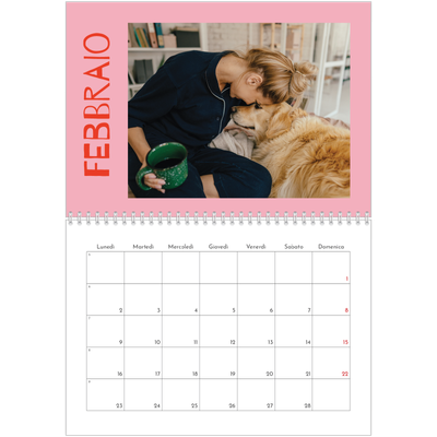 Calendario A4 Doppio — Divertente colorato [Febbraio]