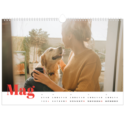 Calendario A3 orizzontale  — Un anno audace [copertina]