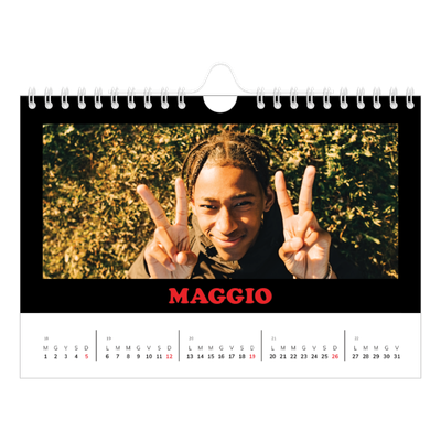 Calendario fotografico A5 — Tipo divertente [copertina]