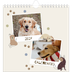 Calendari quadrati — Cucciolo giocherellone [copertina]