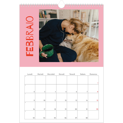 Calendario A3 verticale — Divertente colorato [Febbraio]