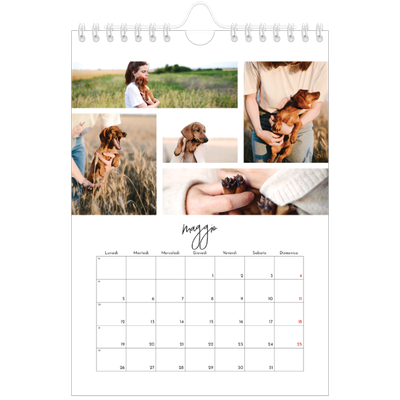 Calendario fotografico A5 — Disposizioni fotografiche [copertina]