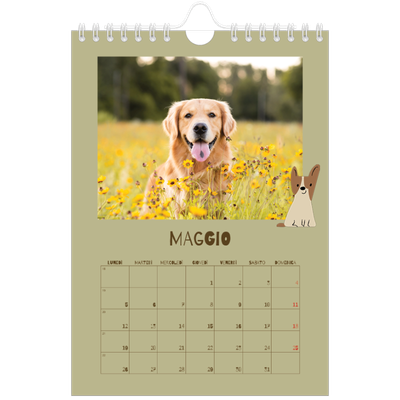Calendario fotografico A5 — Cucciolo giocherellone [copertina]