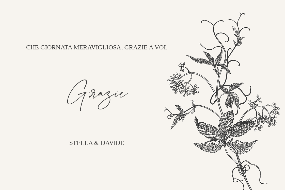 Biglietti di ringraziamento — Inchiostro e edera