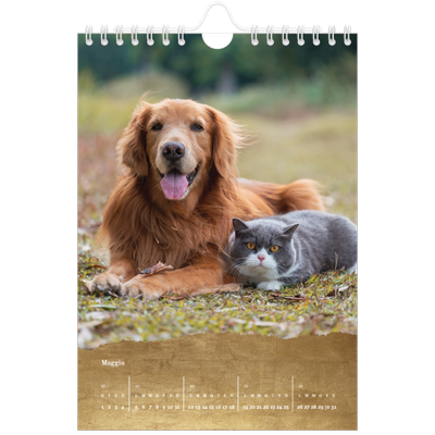 Calendario fotografico A5 — Classic Gold [copertina]