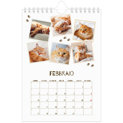 Calendario fotografico A5 — Gattino giocherellone [Febbraio]