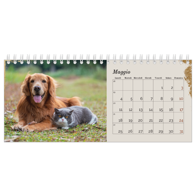 Calendari da tavolo — Classic Gold [copertina]