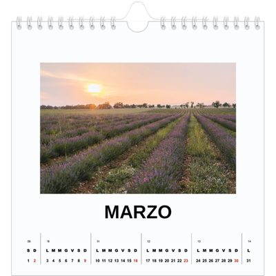 Calendari quadrati — Foto semplice [Marzo]