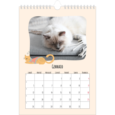 Calendario personalizzato A4 — Zampette di gatto e scarabocchi [Gennaio]