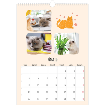 Calendario A3 verticale — Zampette di gatto e scarabocchi [copertina]