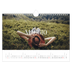 Calendario fotografico A4 — Fuga infinita [Maggio]