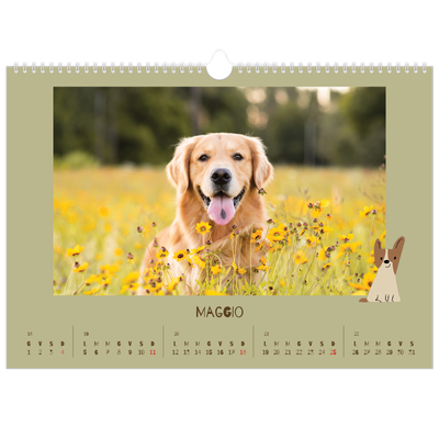 Calendario A3 orizzontale  — Cucciolo giocherellone [copertina]