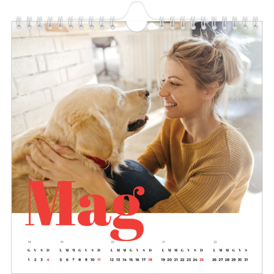 Calendari quadrati — Un anno audace [copertina]