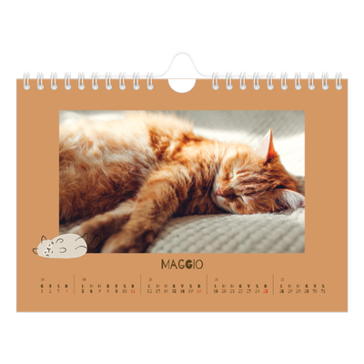 Calendario fotografico A5 — Gattino giocherellone [copertina]
