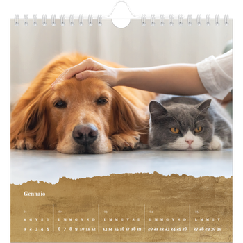 Calendario Fotografico Quadrato — Paillettes d'oro