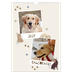 Calendario A3 verticale — Cucciolo giocherellone [copertina]