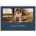 Calendario A4 Doppio — Ardesia e grazie [copertina]