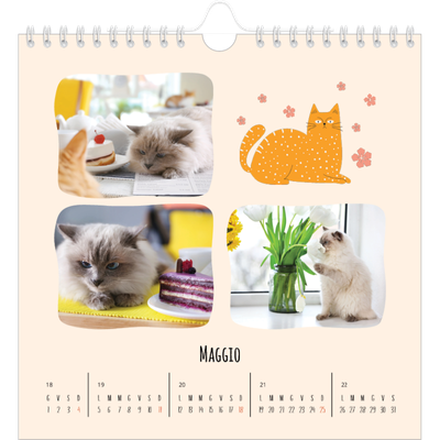 Calendari quadrati — Zampette di gatto e scarabocchi [copertina]