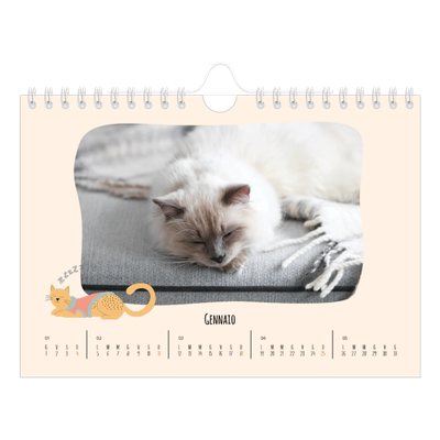 Calendario fotografico A5 — Zampette di gatto e scarabocchi [Gennaio]