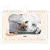 Calendario fotografico A5 — Zampette di gatto e scarabocchi [Gennaio]