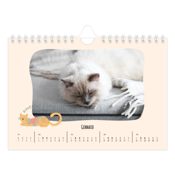 Calendario Fotografico A5 Orizzontale — Zampette di gatto e scarabocchi