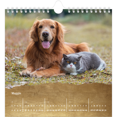 Calendari quadrati — Classic Gold [copertina]