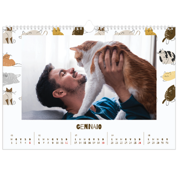 Calendario Fotografico A3 Orizzontale — Gattino giocherellone
