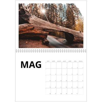 Calendario A4 Doppio — White space [copertina]