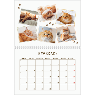Calendario A4 Doppio — Gattino giocherellone [Febbraio]