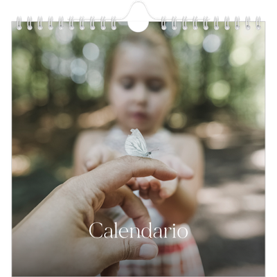 Calendari quadrati — Dodici grandi mesi [copertina]