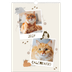 Calendario A3 verticale — Gattino giocherellone [copertina]