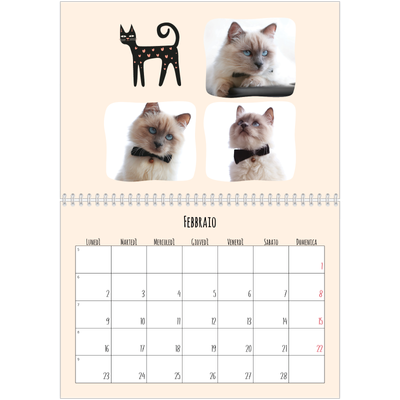 Calendario A4 Doppio — Zampette di gatto e scarabocchi [Febbraio]