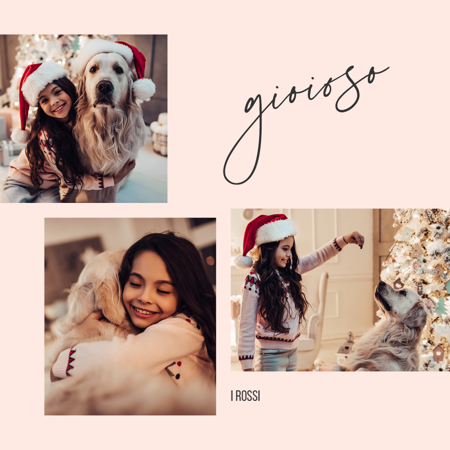 Biglietti — Rosa gioioso