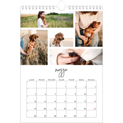 Calendario personalizzato A4 — Disposizioni fotografiche [copertina]