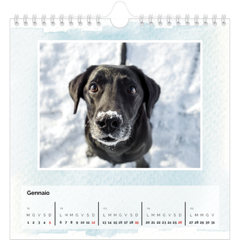 Calendario Fotografico Quadrato — Sfondi ad acquerello