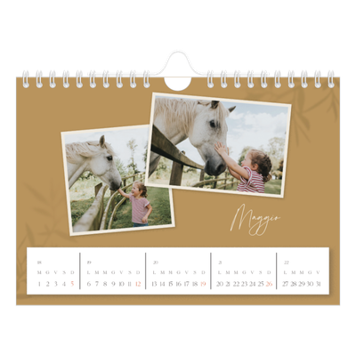 Calendario fotografico A5 — Con i piedi per terra [copertina]