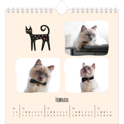 Calendari quadrati — Zampette di gatto e scarabocchi [Febbraio]