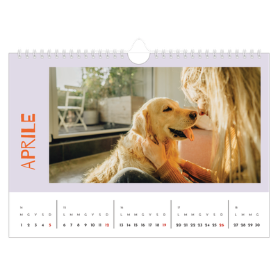 Calendario fotografico A4 — Divertente colorato [Aprile]
