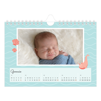 Calendario Fotografico A5 Orizzontale — Animali carini