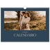 Calendario A3 orizzontale  — Ardesia e grazie [copertina]