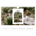 Calendario fotografico A4 — L'arco aperto [Febbraio]