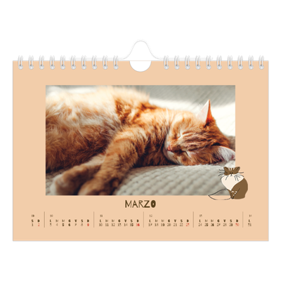 Calendario fotografico A5 — Gattino giocherellone [Marzo]
