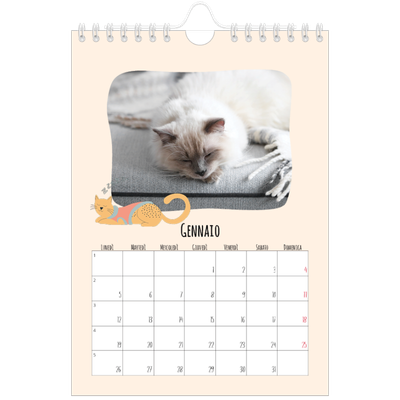 Calendario fotografico A5 — Zampette di gatto e scarabocchi [Gennaio]