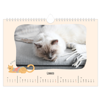 Calendario fotografico A4 — Zampette di gatto e scarabocchi [Gennaio]