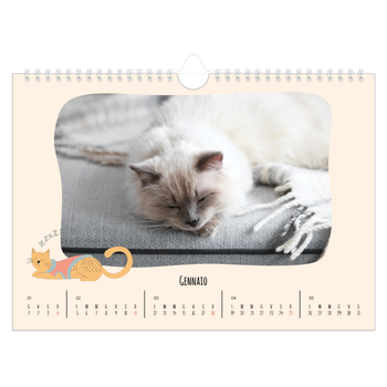 Calendario Fotografico A4 Orizzontale — Zampette di gatto e scarabocchi