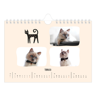 Calendario fotografico A5 — Zampette di gatto e scarabocchi [Febbraio]