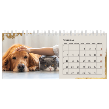 Calendario Fotografico da Tavolo — Paillettes d'oro